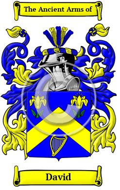 David Name Meaning, Family History, Family Crest.